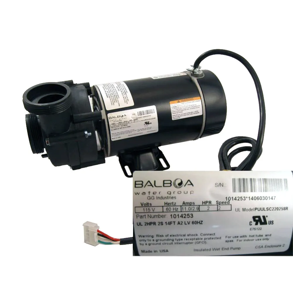 X320379 – Spa Pump – 11 Amp 2 Speed 120V