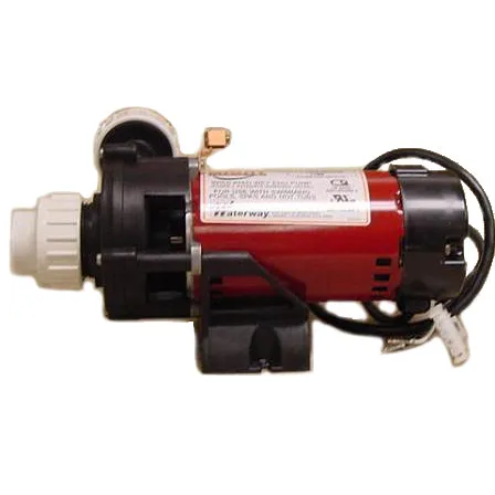 – X321800 Spa Pump – 120V Waterway Tiny Might Circ Pump