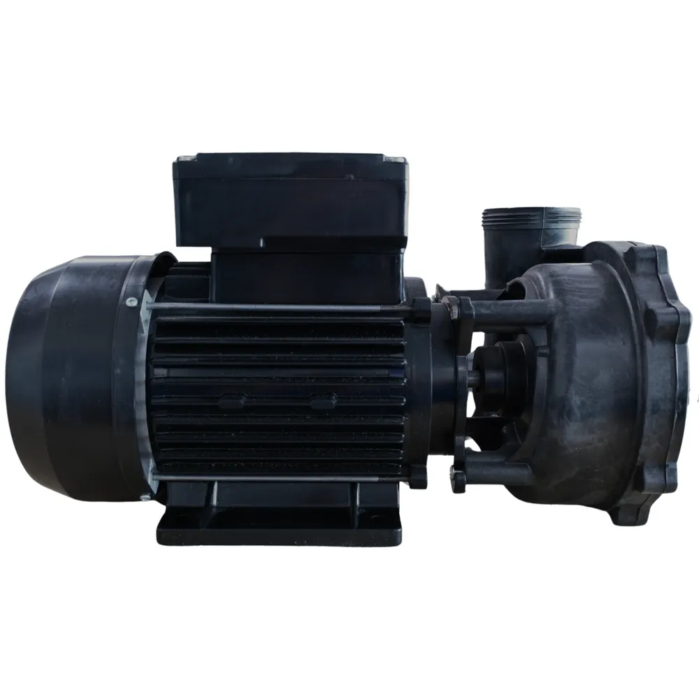X320526 – Pump, 2.5 HP, 2 SPD, 230-240 V, 10.3/1.8 A, 50 HZ