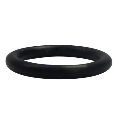 Watts (T1200-0116) O-ring for Watts UV System WUV