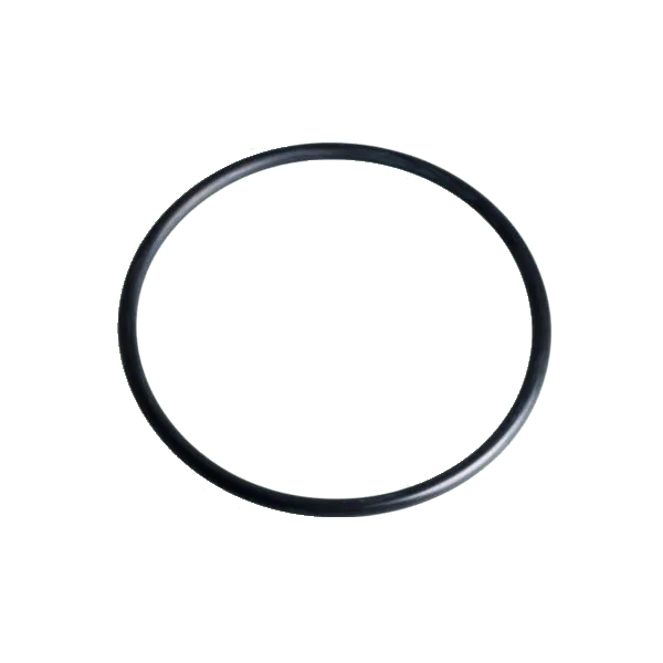 Autotrol (1010428) O-ring 1″ Distributor