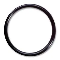 Watts (BB-COUPLER-OR) Big Bubba BBH O-Ring for Coupler ; 2-3/8″ID x 2-3/4″OD x 3/16″CS