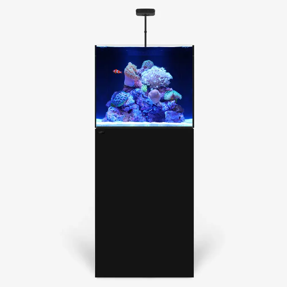 Waterbox Aquariums MARINE X 60.2 PLUS Edition