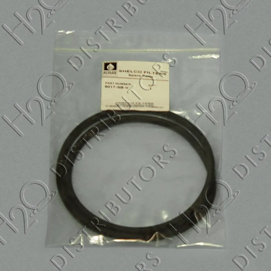 Gasket for 4FOS, 5FOS, BFC, & BFS Series, Viton (Swing Bolt Style)