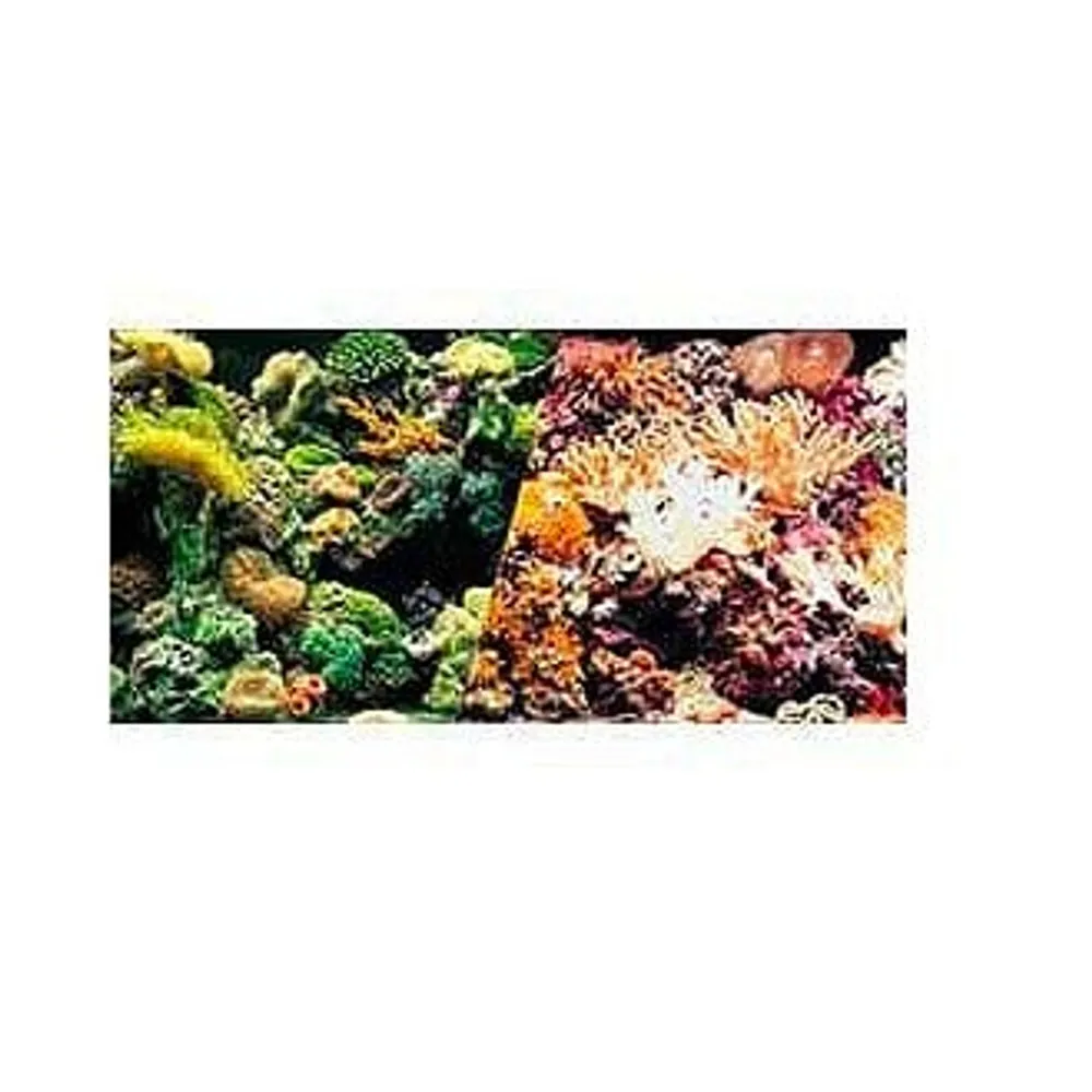 18″ High Marine Reef / Corals Aquarium Background