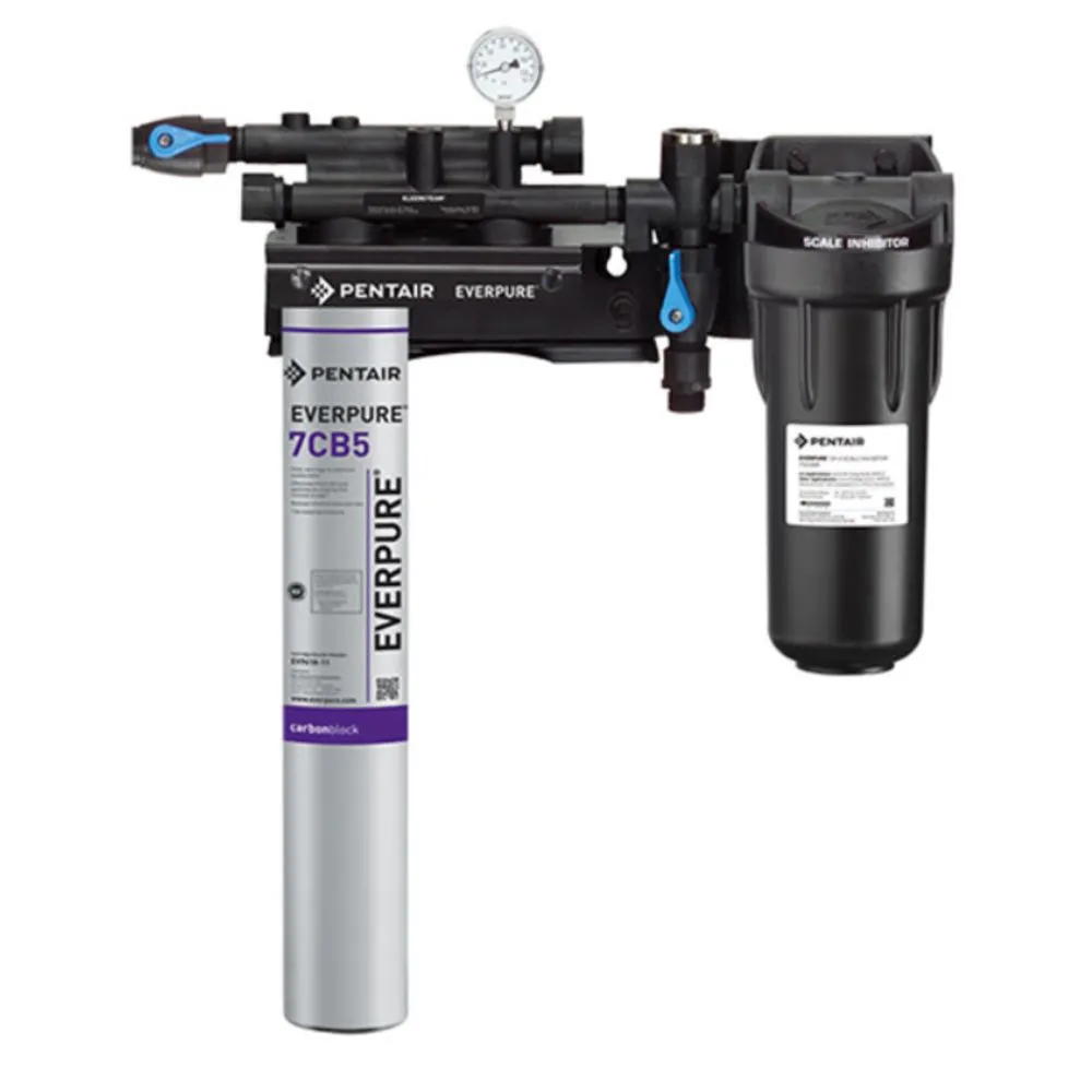 Everpure EV9797-21 Kleensteam II Single System for Steam Applications